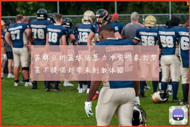 苏群分析篮球场暴力冲突现象打架虽不提倡却带来刺激体验